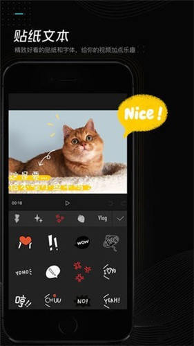 猫咪完美app安卓版3